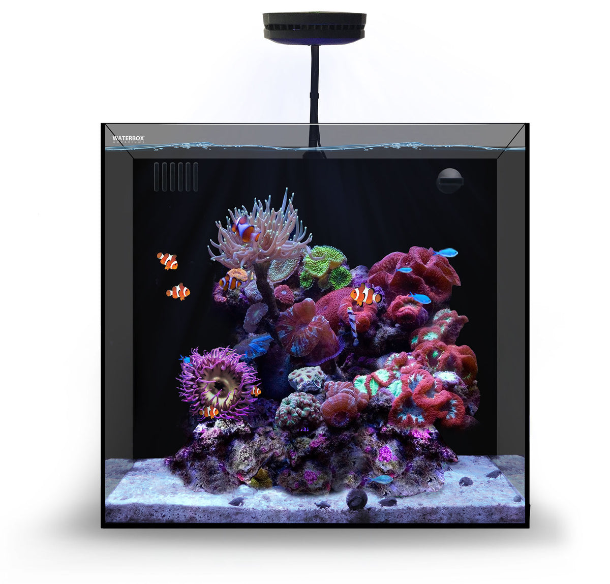 Aquatic Gadget is Surface Skimmer, Algae Reactor, and Wavemaker in one, Reef Builders