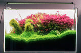 CHIHIROS B45 RGB Planted LED Light | For 45-65 cm tanks