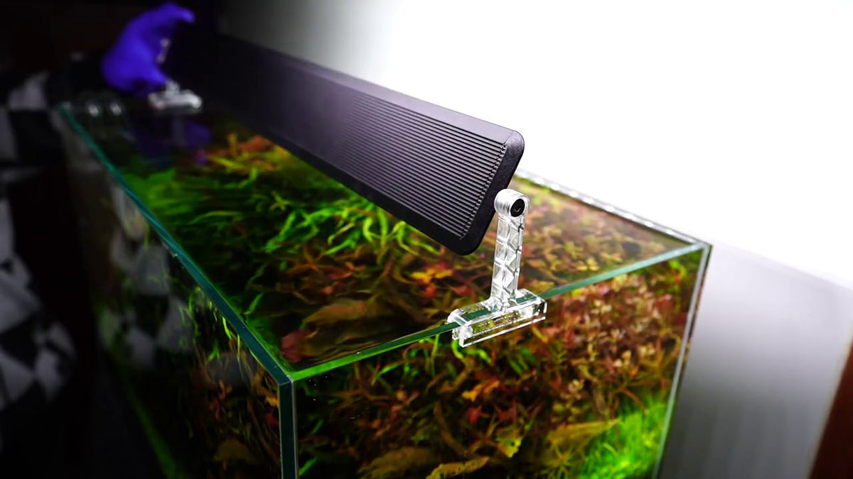 CHIHIROS A Series | A901 Planted Tank LED Light | For 90 cm tanks ...