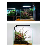 CHIHIROS C2 CII RGB Planted Tank LED Light | For 20-40 cm tank | Wireless App Control