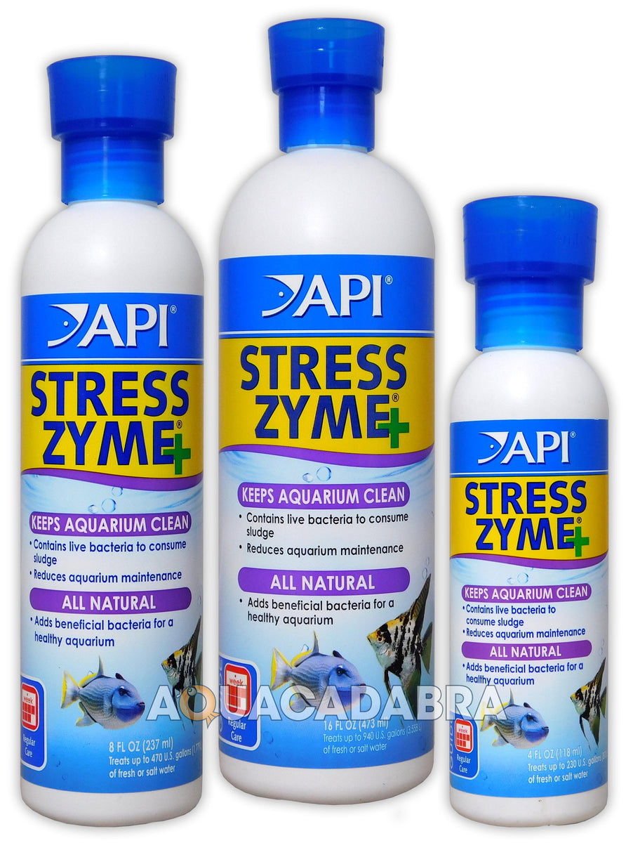 Api 2025 stress zyme