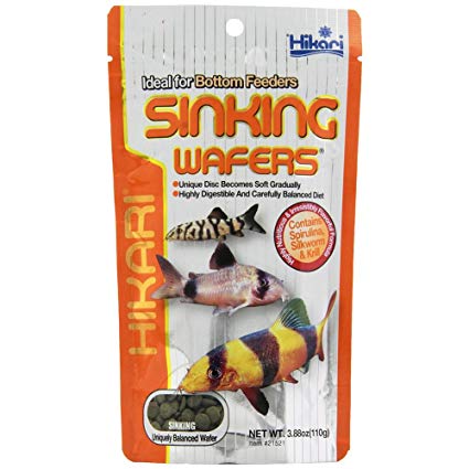 Hikari Sinking Wafers | Bottom feeder food