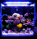 NemoLight Extreme Series II Marine LED Light | App Controlled