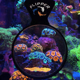 Flipper Deepsee Magnified Magnetic Aquarium Viewer 5"