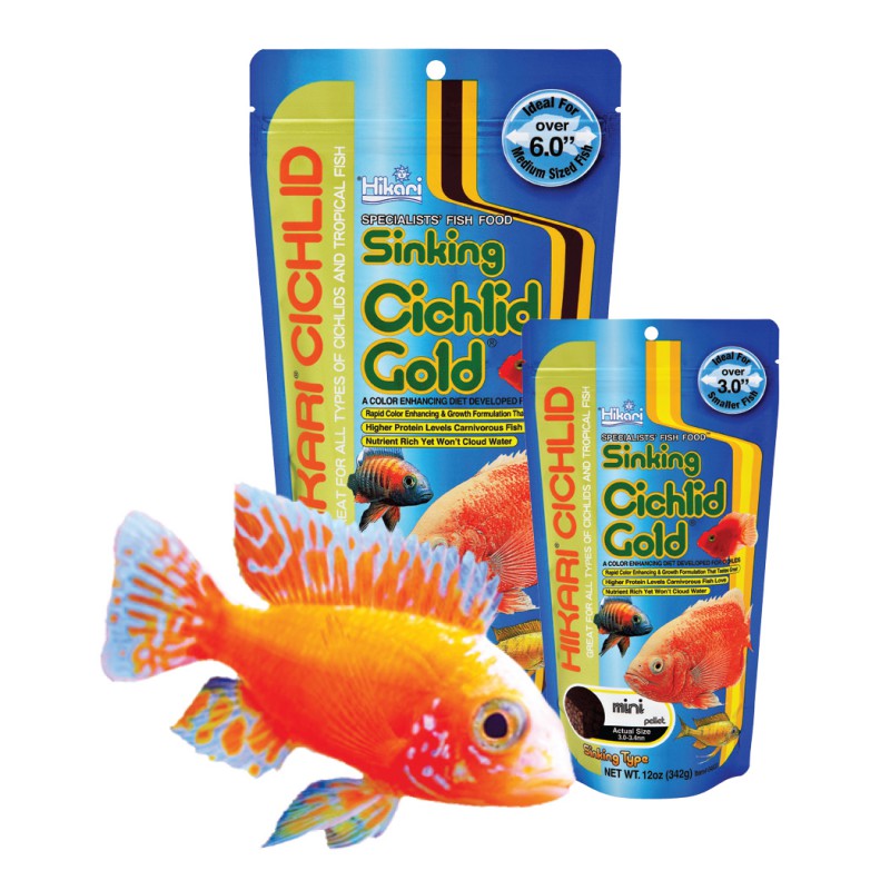 Cichlid food for store goldfish