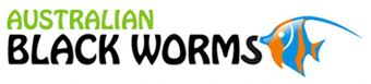 Australian Black Worms