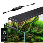 CHIHIROS - WRGB 2 PRO 60 Planted Aquarium LED Light | For 60-80cm tanks | Wireless App Control