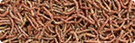 Hikari Bio-Pure FD Blood Worms Freeze Dried