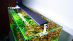 CHIHIROS A Series II | A II 451 Planted Tank LED Light | For 45 cm tanks | Wireless App Control