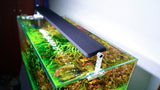 CHIHIROS A Series II | A II 301 Planted Tank LED Light | For 30cm tanks | Wireless App Control