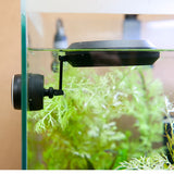 Two Little Fishies MagFeeder Magnetic Feeding Ring
