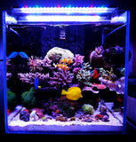 CHIHIROS A Series | A1201M Marine LED Light | For 120cm Tanks | App Control