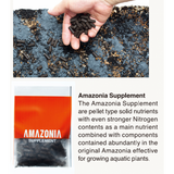 ADA Aqua Soil Amazonia Ver 2 | 9 Litres