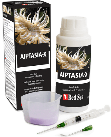 Red Sea Aiptasia-X | Aiptasia treatment