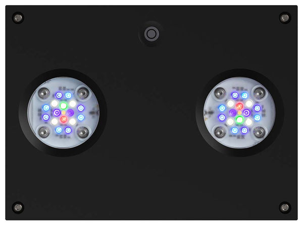 Aqua Illumination Hydra 32 HD – indianaquarium.com
