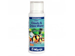 Waterlife StayClear A - Cloudy & Green Water | 100ml