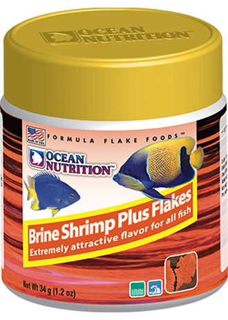 Brine shrimp fish food deals