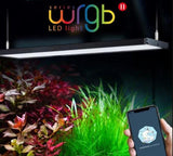 CHIHIROS WRGB II Series | WRGB 2 30 Planted Aquarium LED Light | For 30-45cm tanks | Wireless App Control