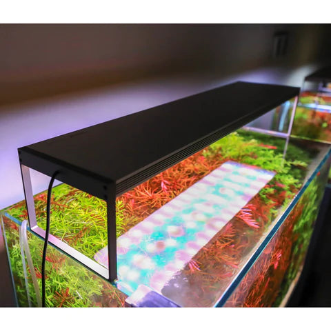Twinstar 600S Vr-III - Planted Tank LED Light – indianaquarium.com Twinstar 600S Vr-III - Planted Tank LED Light – indianaquarium.com