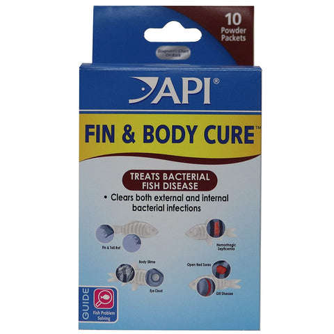 API - FIN & Body Cure
