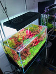 CHIHIROS RGB VIVID II | Planted Aquarium LED Light | Wireless App Control