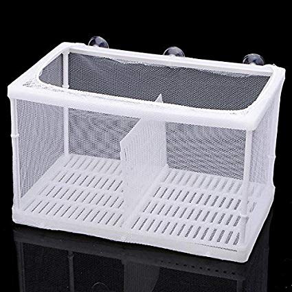 breeder net for fish BOYU Net Breeder for Aquarium Fish Tank – indianaquarium.com