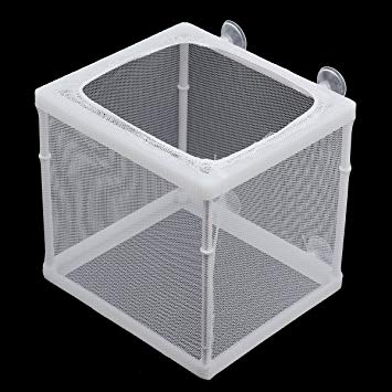 breeder net for egglaying fish BOYU Net Breeder for Aquarium Fish Tank – indianaquarium.com