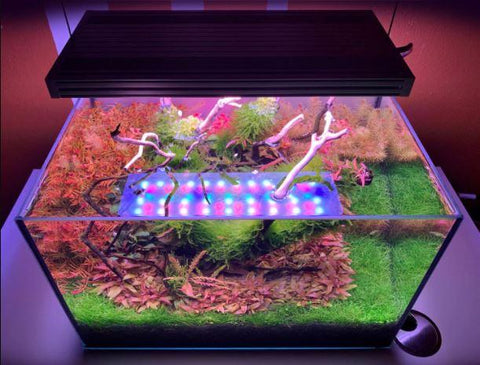 CHIHIROS WRGB II Series | WRGB 2 30 Planted Aquarium LED Light 