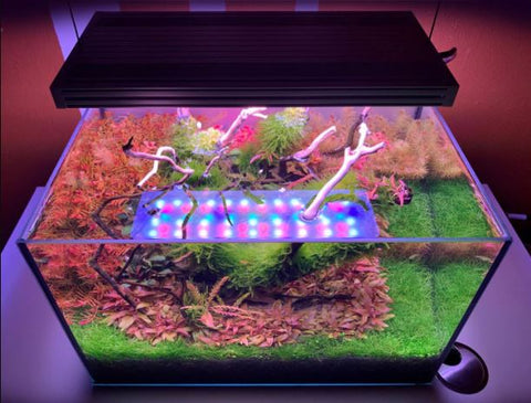 CHIHIROS WRGB II Series | WRGB 2 60 Planted Aquarium LED